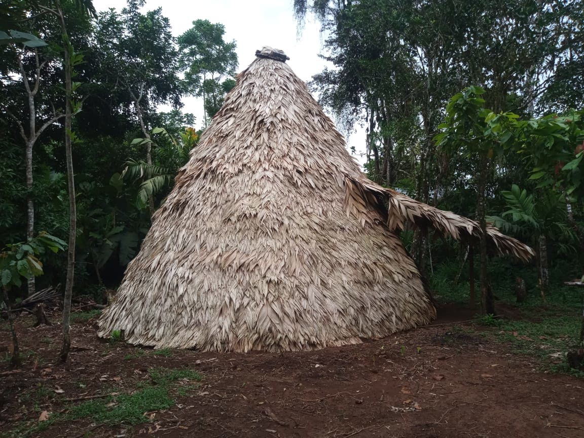 Casa cónica bribri de Dururpe, techada con hojas de palma, rodeada de bosque